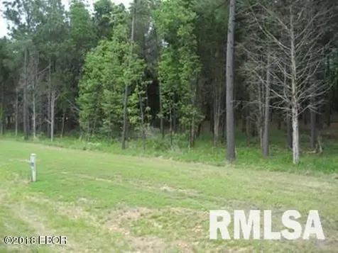 Lot 358 Parrish Ridge Lane Goreville IL 62939