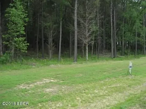 Lot 358 Parrish Ridge Lane Goreville IL 62939