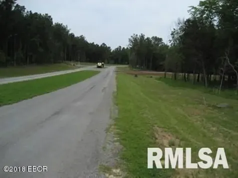 Lot 358 Parrish Ridge Lane Goreville IL 62939