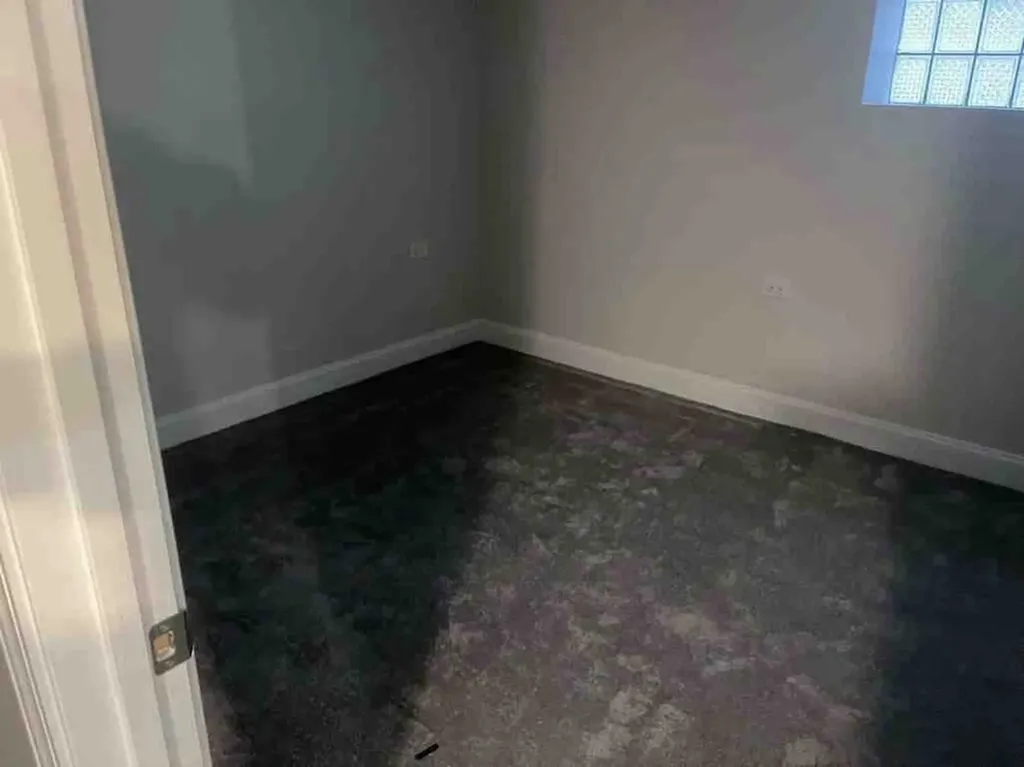 7420 South Bennett Avenue Chicago IL 60649