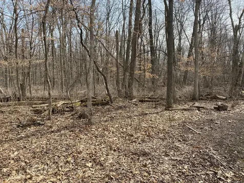 1108 Oakview Lane Genoa IL 60135