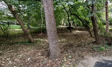 11 Rohrssen Lot 5 Road Elgin IL 60120