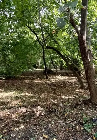 11 Rohrssen Lot 5 Road Elgin IL 60120