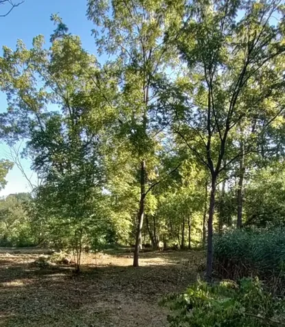 11 Rohrssen Lot 1 Road Elgin IL 60120