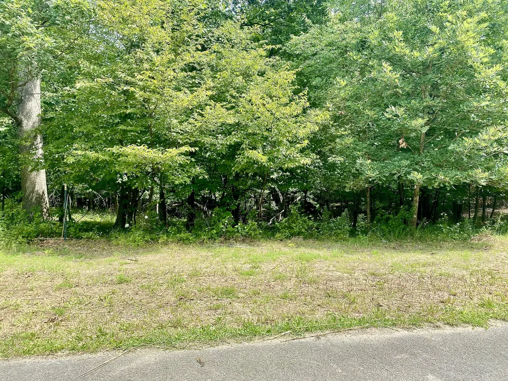 Lot 55 Eagle Chase Drive Seneca IL 61360