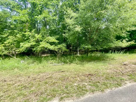 Lot 55 Eagle Chase Drive Seneca IL 61360