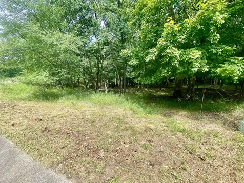 Lot 55 Eagle Chase Drive Seneca IL 61360