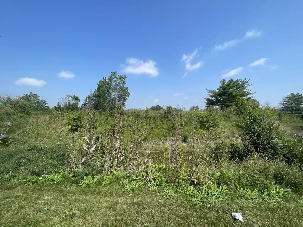 19099 Hickory Creek Drive Mokena IL 60448