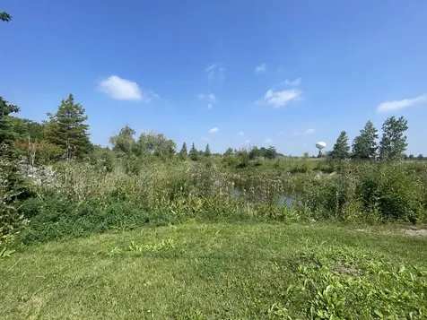 19099 Hickory Creek Drive Mokena IL 60448