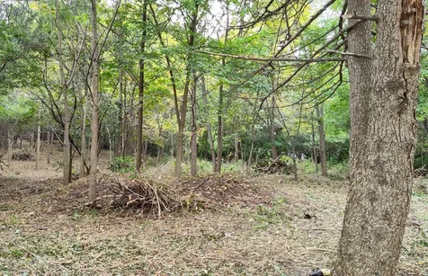 11 Rohrssen Lot 4 Road Elgin IL 60120