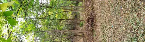 11 Rohrssen Lot 4 Road Elgin IL 60120