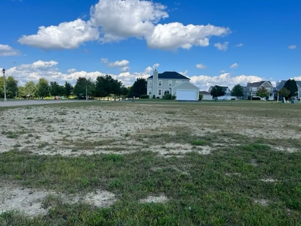 160 Coneflower Street Sugar Grove IL 60554