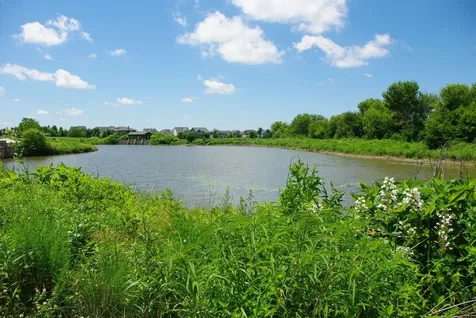 160 Coneflower Street Sugar Grove IL 60554
