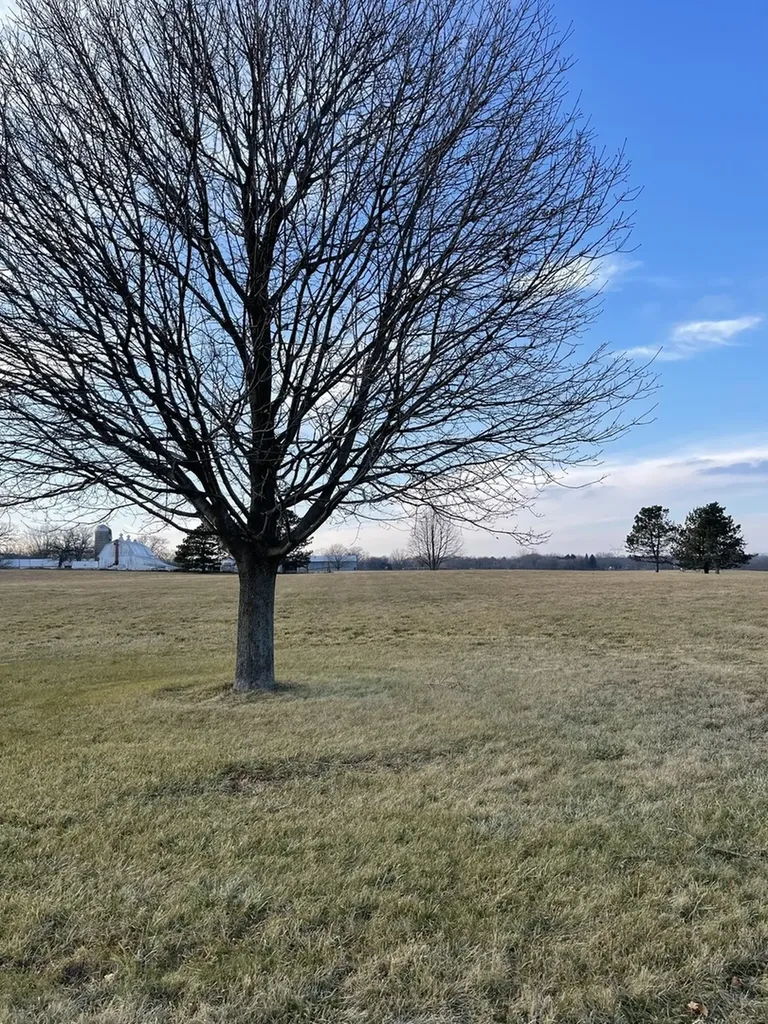 17408 Wildflower Circle Union IL 60180