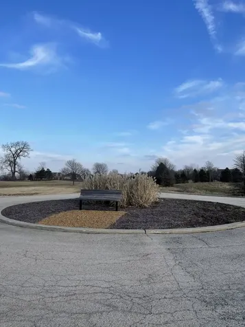 17408 Wildflower Circle Union IL 60180