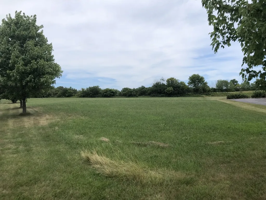 40417 North Belle Foret Drive Wadsworth IL 60083