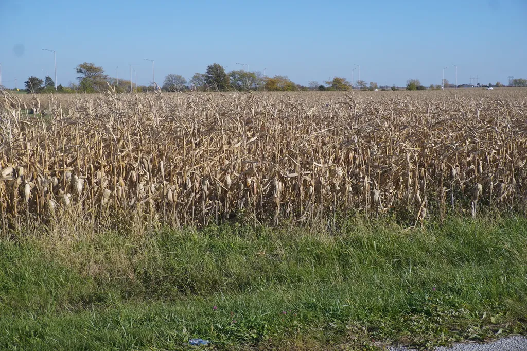 Sec7 TWP26N R10e Road Gilman IL 60938