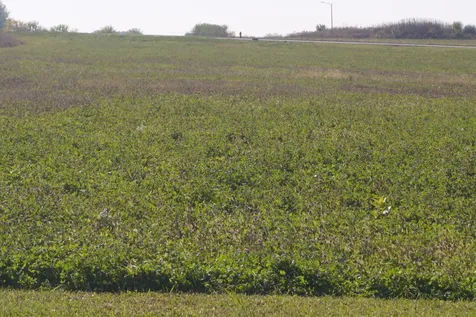 Lot5 South Rt 52 Road Manhattan IL 60442