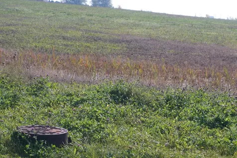 Lot5 South Rt 52 Road Manhattan IL 60442