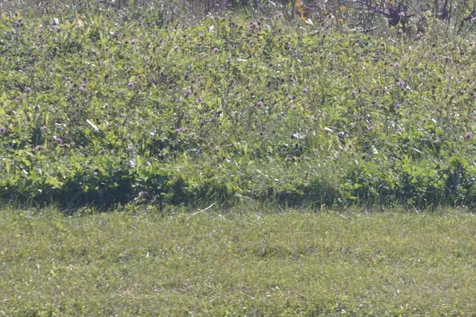 Lot3 South Rt 52 Road Manhattan IL 60442