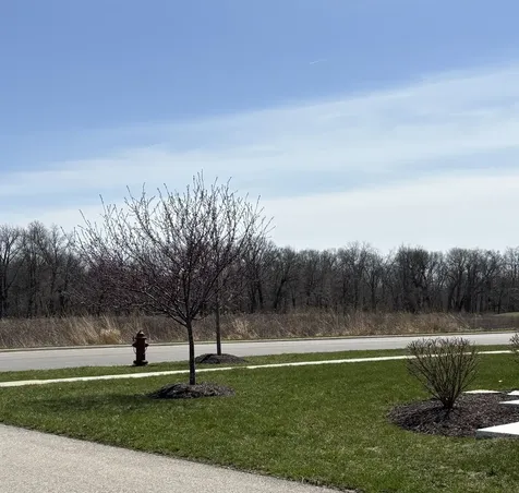 408 Stearn Drive Genoa IL 60135