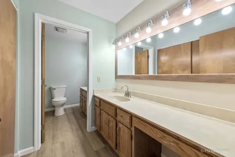 1045 Linda Lane Lake Holiday IL 60548
