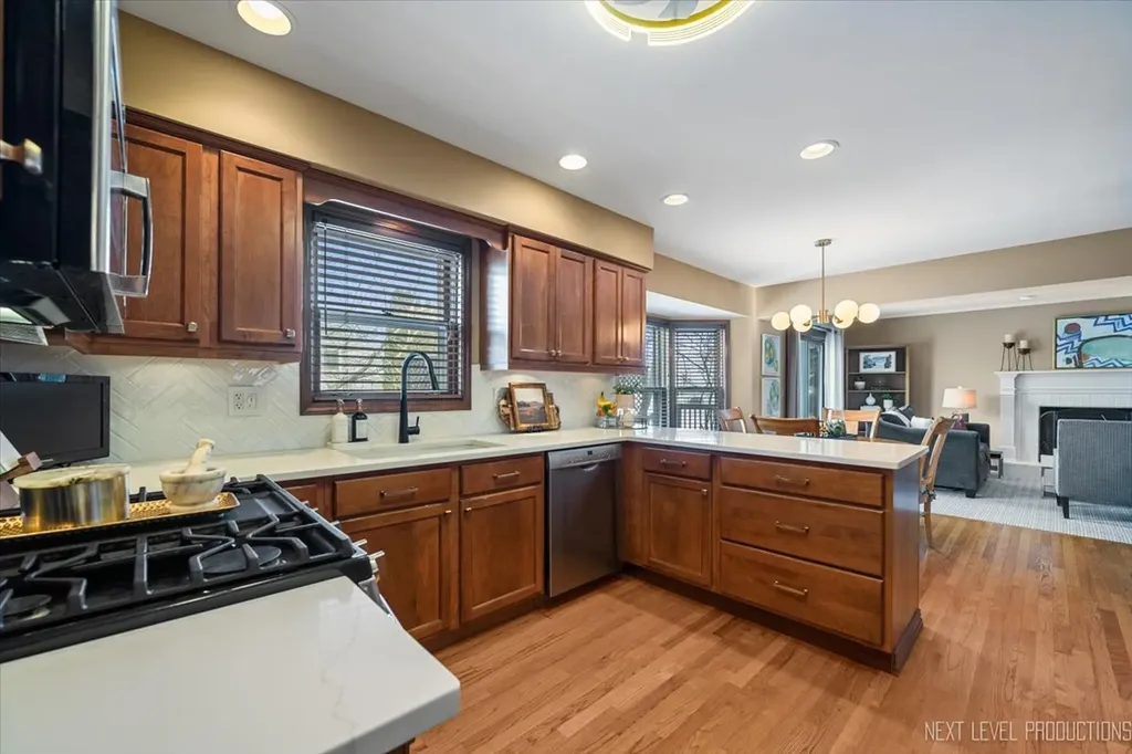 1227 Windemere Avenue Naperville IL 60564