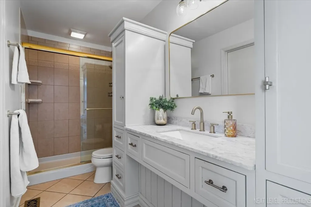 1227 Windemere Avenue Naperville IL 60564