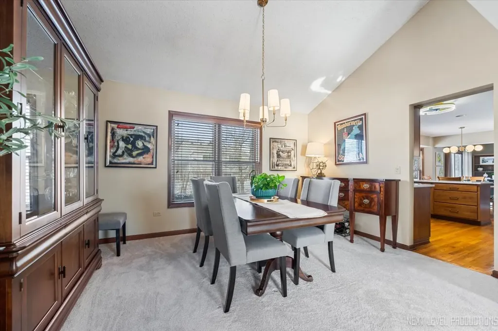 1227 Windemere Avenue Naperville IL 60564