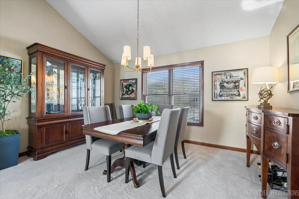 1227 Windemere Avenue Naperville IL 60564