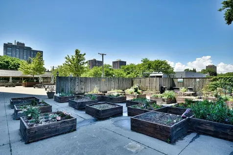 4250 North Marine Drive Chicago IL 60613