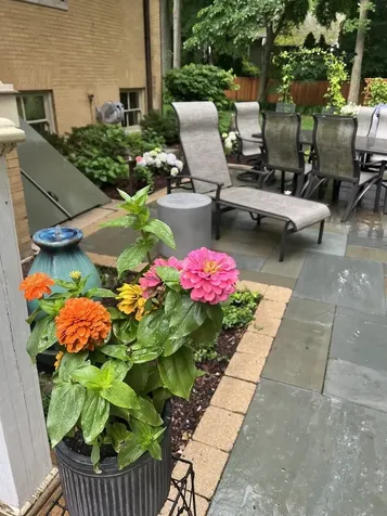 1228 Forest Avenue Evanston IL 60202