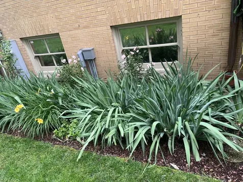 1228 Forest Avenue Evanston IL 60202