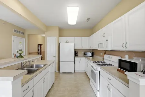 13531 Yellow Pine Drive Huntley IL 60142
