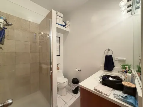 1407 North Wicker Park Avenue Chicago IL 60622
