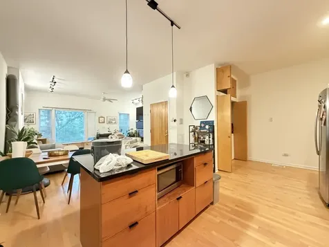 1407 North Wicker Park Avenue Chicago IL 60622