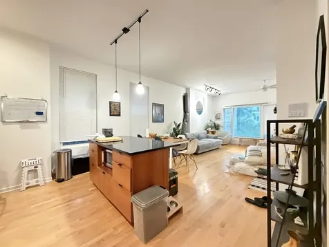 1407 North Wicker Park Avenue Chicago IL 60622
