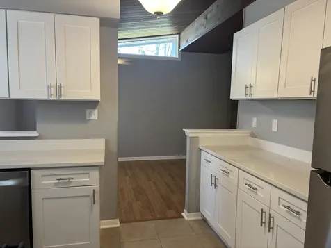 22535 Ridgeway Avenue Richton Park IL 60471