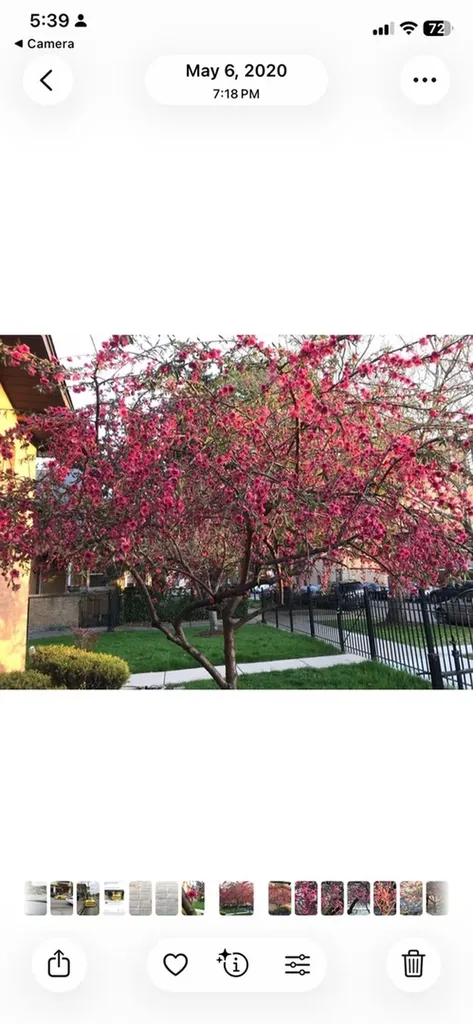 4827 North Harding Avenue Chicago IL 60625