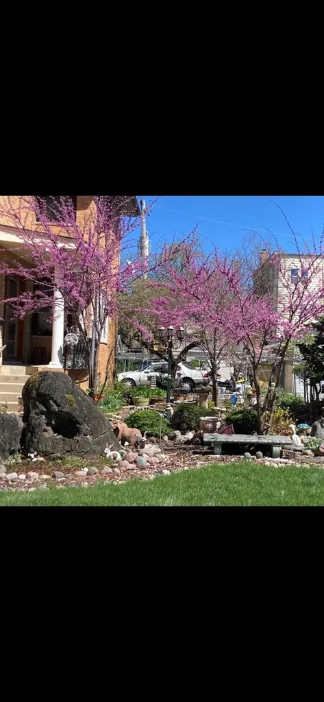 4827 North Harding Avenue Chicago IL 60625