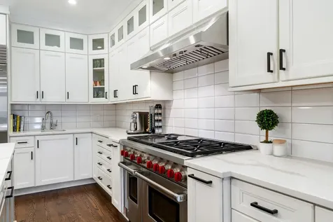 729 West Barry Avenue Chicago IL 60657