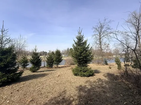 25-75 Woodhaven Lakes Sublette IL 61367