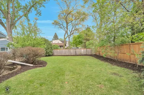 591 South Charlotte Street Lombard IL 60148