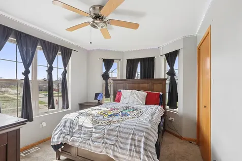 22070 Neptune Lane Richton Park IL 60471