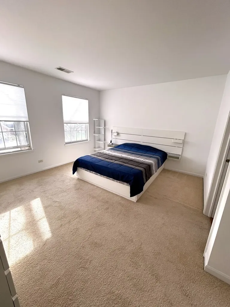 356 Fallbrook Court Schaumburg IL 60194