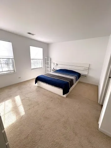 356 Fallbrook Court Schaumburg IL 60194