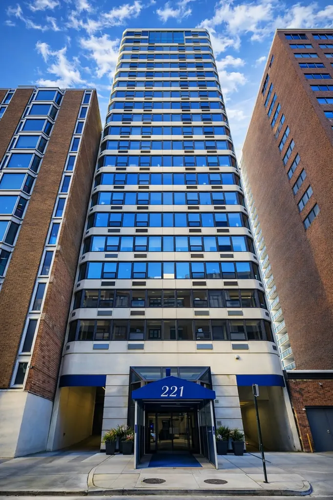 221 East Walton Place Chicago IL 60611