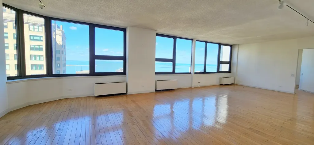 221 East Walton Place Chicago IL 60611