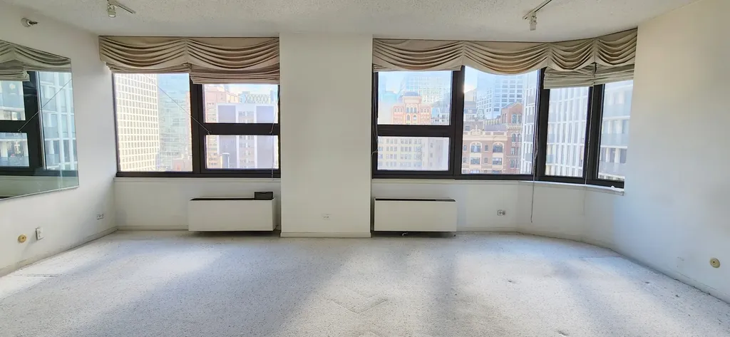 221 East Walton Place Chicago IL 60611