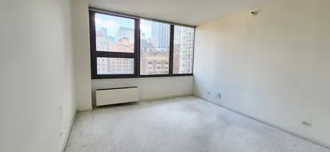 221 East Walton Place Chicago IL 60611